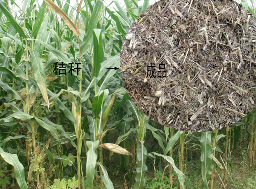 �ն�����